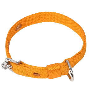 Kennel Nylon Collar (W = 3/4")