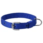 Kennel Premium Nylon Collar (W = 1")